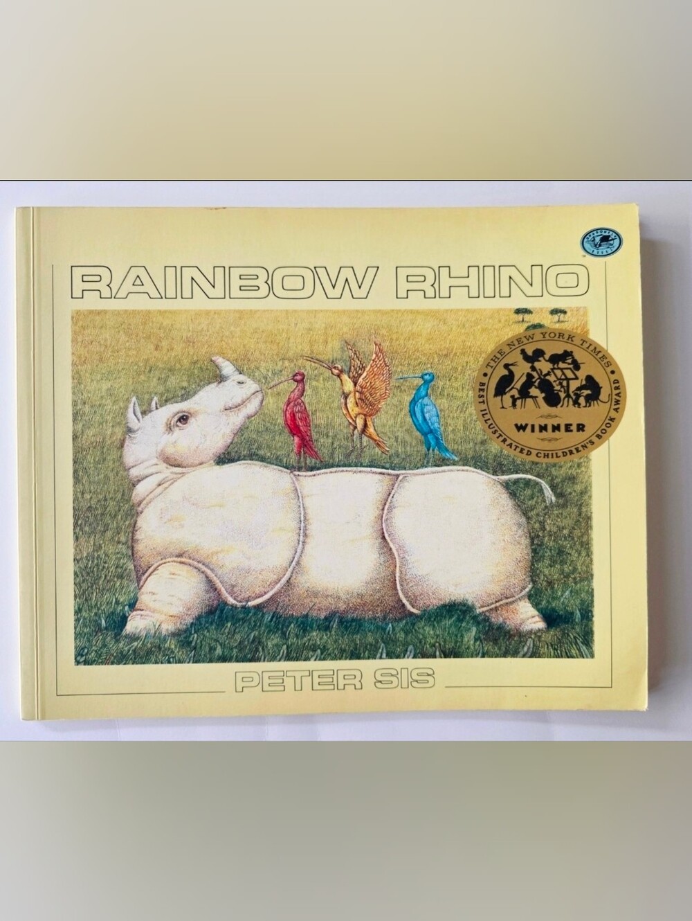 Rainbow Rhino children's book.